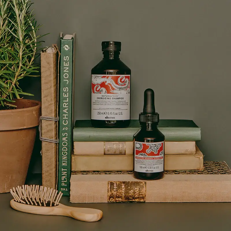 DE LA RAÍZ A LA PUNTA