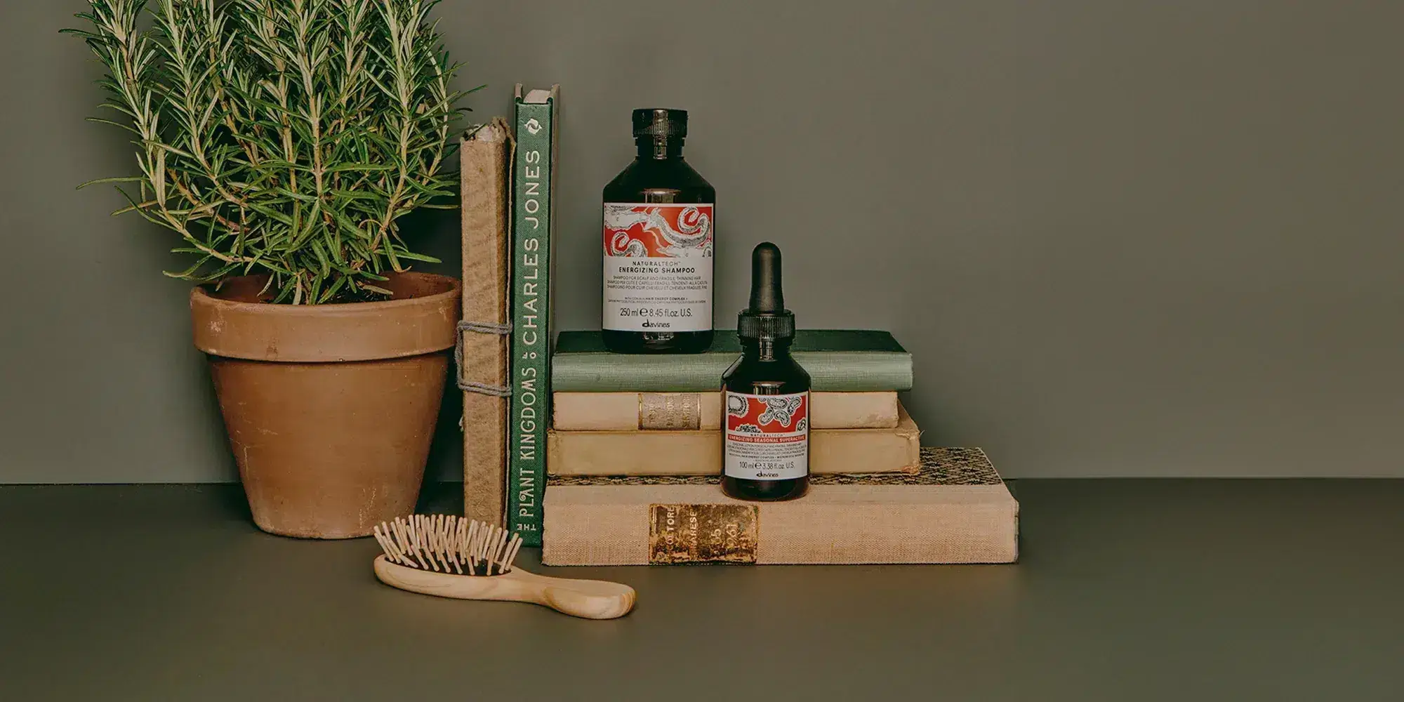 Davines de la raíz a la Punta Banner